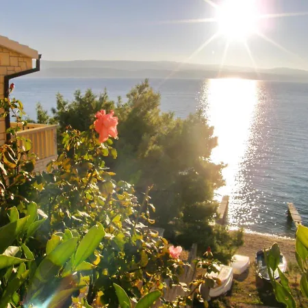 House Direct On * Celina